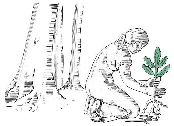 In Erinnerung an die deutsche 50 Pfennig Münze von Richard Martin Werner und sein Modell Gerda Johanna Werner. Die Münze soll den Wiederaufbau Deutschland repräsentieren, steht aber auch für Umweltschutz.